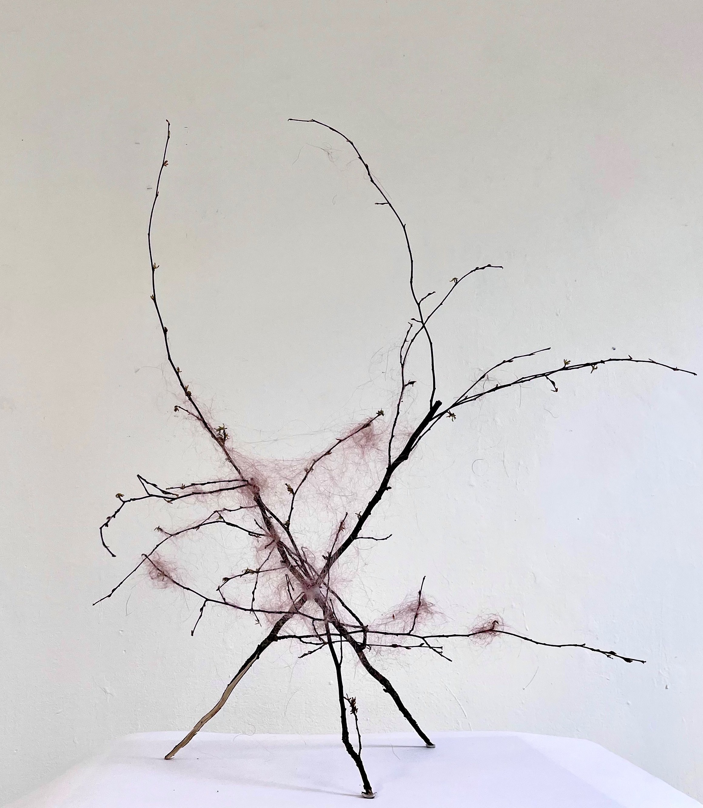 Fanzhi Wei, A Place to Grow, hair sculpture