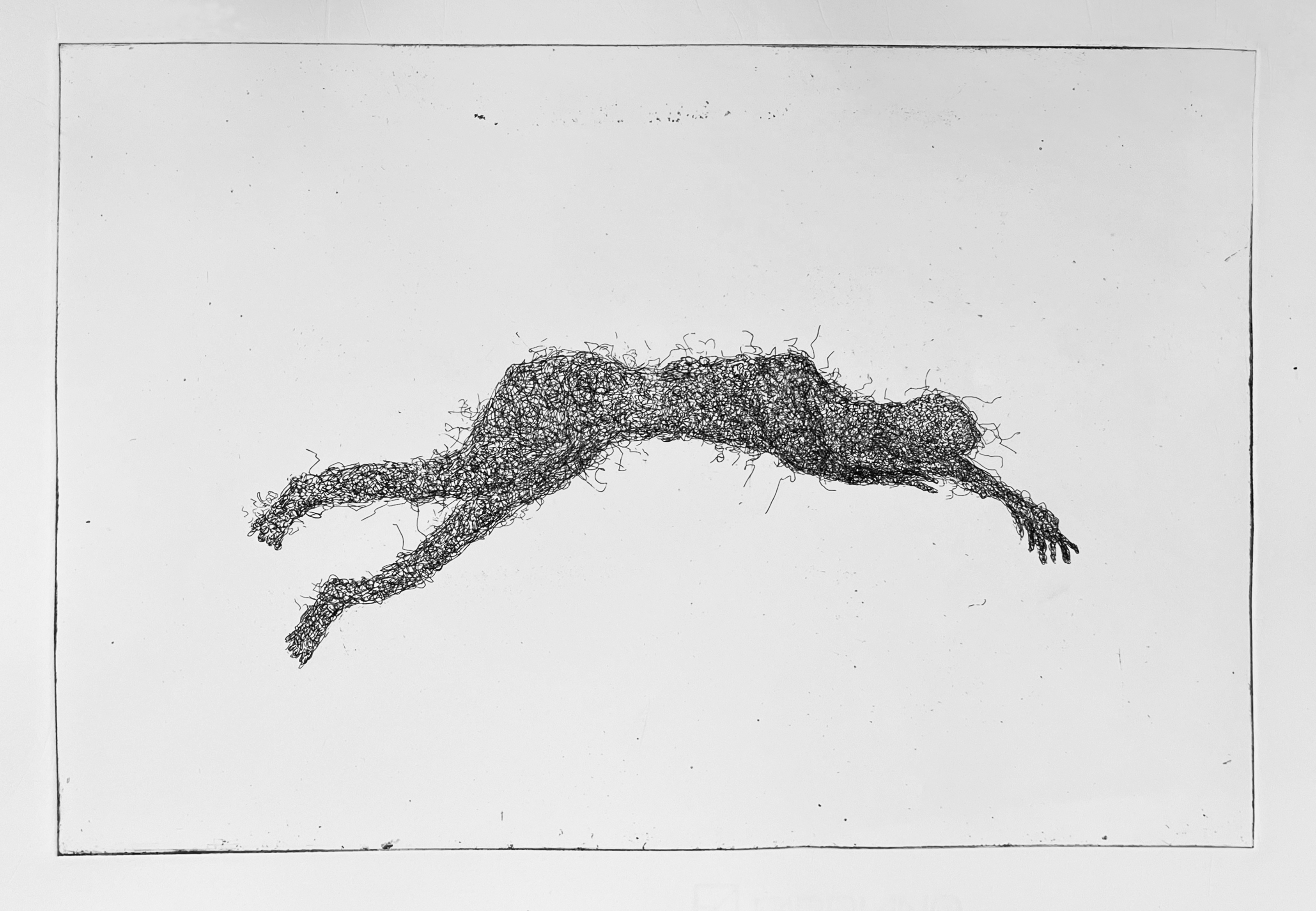 Fanzhi Wei, Entangled Body, etching and hair sculpture