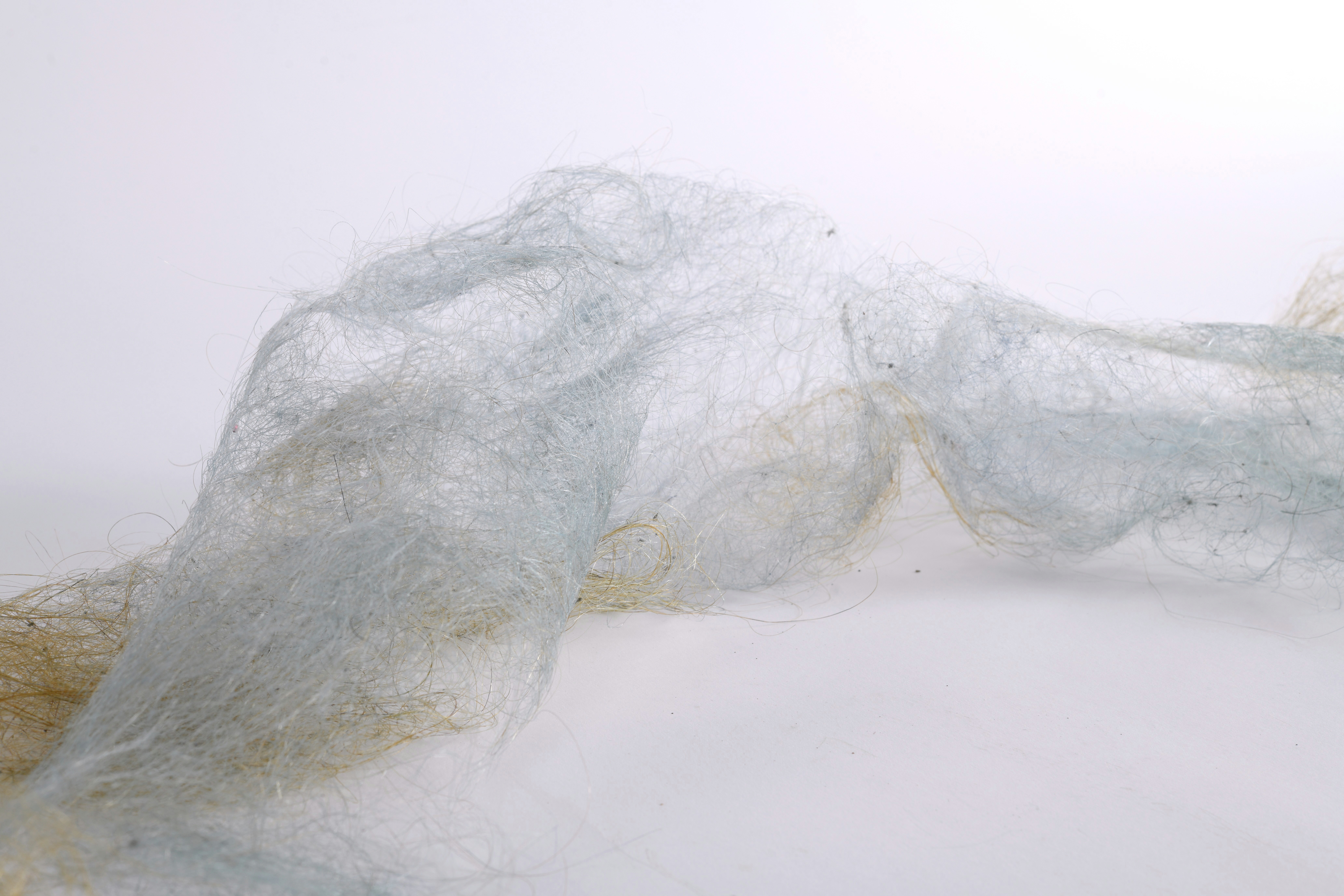 Entangled Body