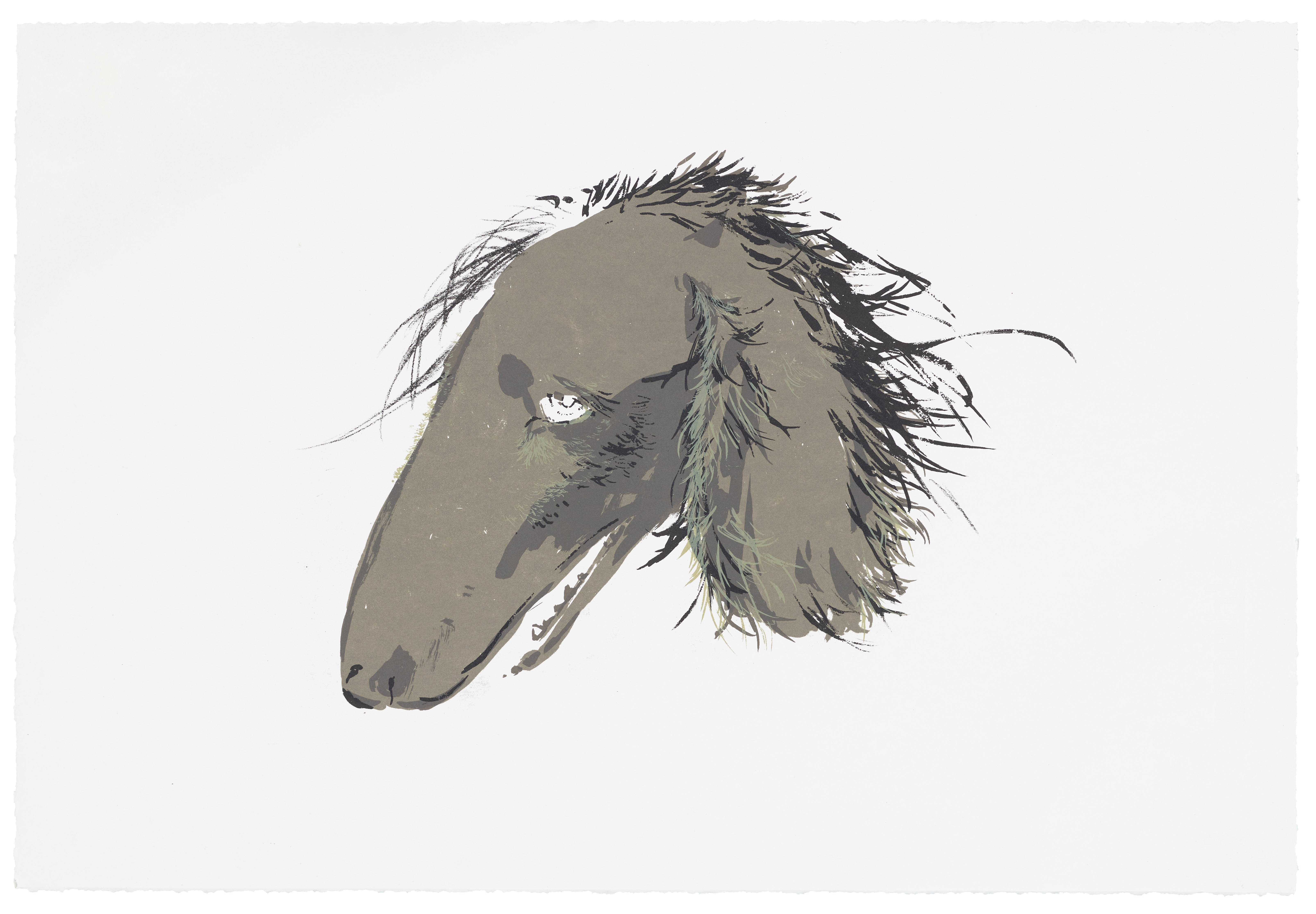 The Black Dog