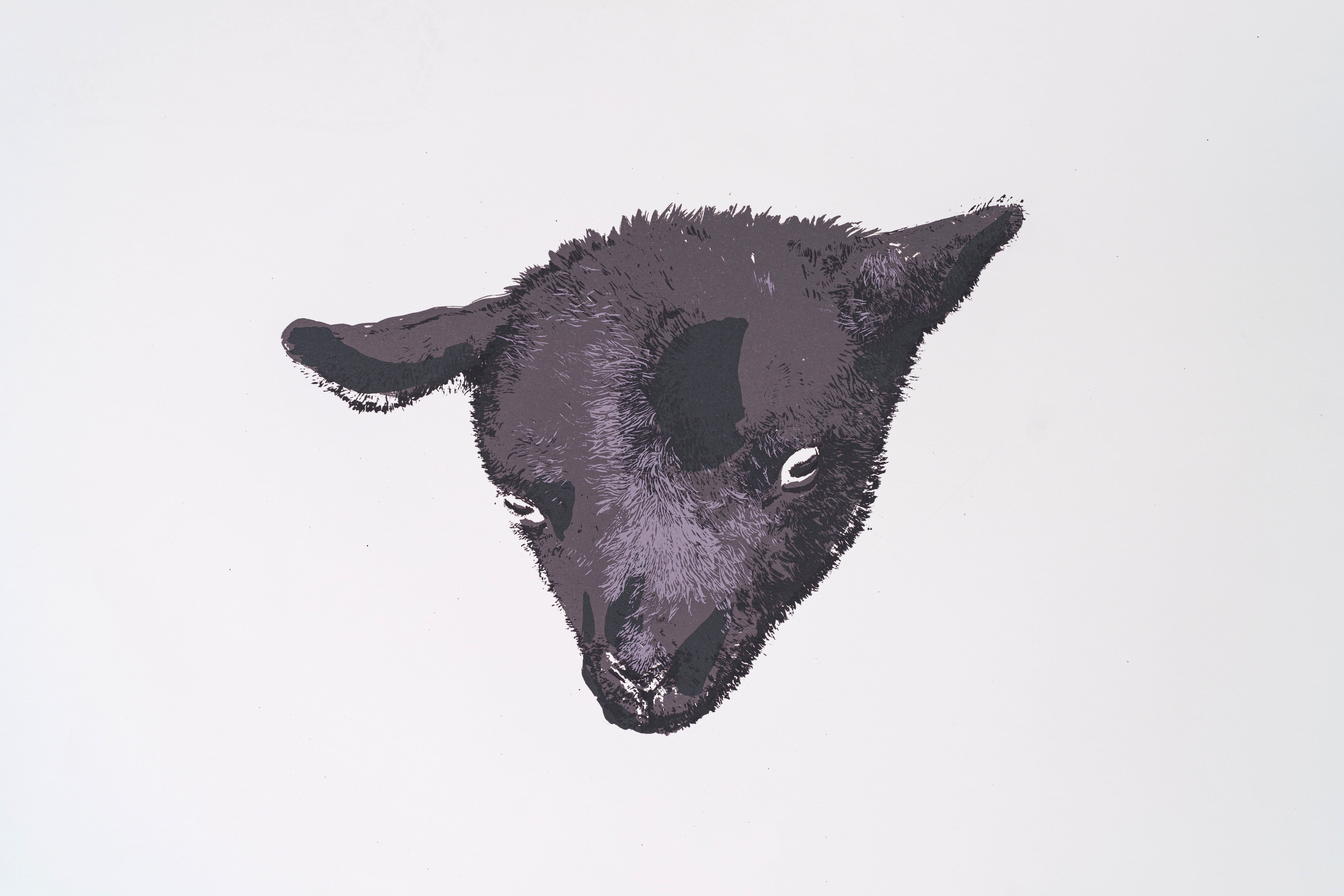 The Black Sheep